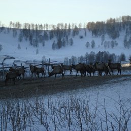 ���� ������, ������������, 55 ��� - ��������� 13 ������� 2012