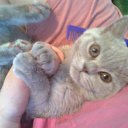 ���� �������, �����, 35 ��� - ��������� 7 ������� 2009 � ������ ���� �������� ��������