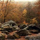 ���� ������, ���-����, 28 ��� - ��������� 15 ������� 2009 � ������ �������