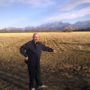 ���� ����, �����������, 61 ��� - ��������� 31 ��� 2012 � ������ ���� ����������