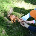 ���� �������, �����, 62 ���� - ��������� 1 ���� 2012 � ������ ����������� - 2012�