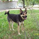 ���� �����, ��������, 46 ��� - ��������� 4 ������ 2009 � ������ ���� ������ ))�