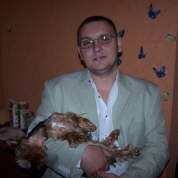 Skinne, ������, 44 ����