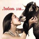 ���� �����, ��������, 41 ��� - ��������� 2 ������� 2012 � ������ �������ۻ