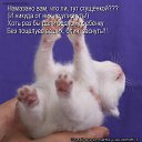 ���� ��������, �������� - ��������� 23 ����� 2012 � ������ �������� ��������