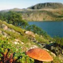  ,  -  23  2012    ߻