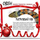 ���� ����, ������� - ��������� 4 ���� 2013 � ������ �2013 ��� - ��� ����