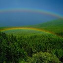 ���� �����, �����-���������, 54 ���� - ��������� 12 ������� 2011 � ������ ���� ����������
