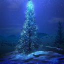 ���� A��������, ���, 47 ��� - ��������� 26 ������� 2011 � ������ �������