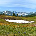  A, , 51  -  13  2011    