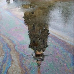 ���� �������, �����-���������, 36 ��� - ��������� 14 ���� 2012