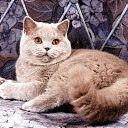 ������� ���������� ��� �� ������� ������