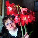 ���� �����, ���� - ��������� 2 ��� 2012 � ������ ���� ����������