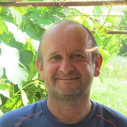 ������, ������, 62 ����