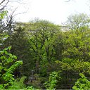 ���� ���������, ������, 61 ��� - ��������� 28 ��� 2011 � ������ ������ � �����������