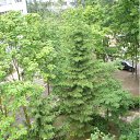 ���� �����, ����� - ��������� 25 ��� 2011 � ������ ����� �� ���� �����