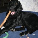 ���� Romantic, ����, 33 ���� - ��������� 2 ������ 2009 � ������ �� � ������