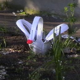 ������ ��������