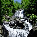 ���� ������, �����-��������� - ��������� 8 �������� 2011 � ������ ���� ����������