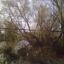 ���� Ilya, ��������, 37 ��� - ��������� 22 ������ 2012 � ������ �������