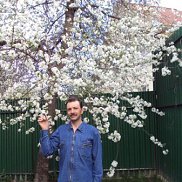 ������, 52 ����, ������