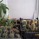 ���� ������, ������, 69 ��� - ��������� 5 ������ 2013 � ������ ���� ��������� ����������