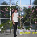 ���� ���, ���������, 61 ��� - ��������� 3 ������� 2013