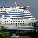 "����� ��������" �� ������� �������