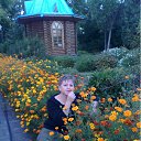 ���� ��������, ����-�����������, 56 ��� - ��������� 12 ��� 2011 � ������ ���� ����