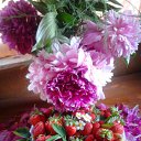 ���� ��������, ��������, 55 ��� - ��������� 26 ���� 2012 � ������ �������