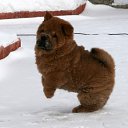  ,  -  3  2010    ,, ۻ