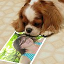 ���� Vera, �������, 44 ���� - ��������� 26 ������� 2011