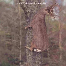 ���� ������, �����-���������, 69 ��� - ��������� 11 ������� 2013