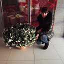 ���� ���������, ��������, 33 ���� - ��������� 13 ���� 2013 � ������ ���� ����������