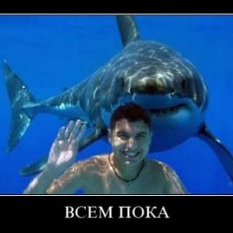 ���� ��������, ������ - ��������� 15 ������� 2011