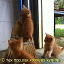 ���� ���, ������, 51 ��� - ��������� 25 ��� 2013 � ������ ���� ����������
