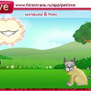  , , 33  -  29  2010   PetLove