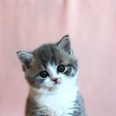 ���� ��� ����� :D, ����� - ��������� 2 ������� 2012 � ������ ���� ����������