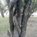 ���� ���, ������ - ��������� 22 ������� 2011 � ������ �������