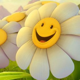 ���� ˸��, �����������, 43 ���� - ��������� 31 ����� 2012