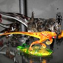 ���� �������, ��������, 43 ���� - ��������� 10 ������ 2010 � ������ �����-�����������