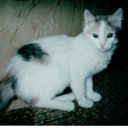 ���� �������, ���������, 48 ��� - ��������� 17 ������ 2011 � ������ ���� ����������