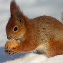 ���� �����, ��������, 53 ���� - ��������� 17 ������ 2011 � ������ ���� ����������