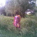 ���� �����, �����, 39 ��� - ��������� 13 ������� 2011 � ������ ���� ����������