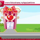 ���� ������, ������, 49 ��� - ��������� 6 ������ 2010 � ������ �PetLove�