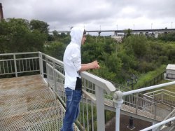 Diessel, ���������, 29 ���