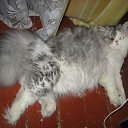 ���� �������, ������, 59 ��� - ��������� 14 ������� 2009 � ������ ���� ������� ��� ����