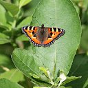 ���� �����, ������ - ��������� 20 ���� 2012 � ������ ���� ����������