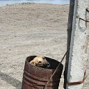 ���� �����, ������, 46 ��� - ��������� 31 ����� 2013