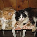 �������� ���� � ����� �����. �� ������� ����� ��� ������������